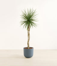 Load image into Gallery viewer, Iron Gray*****Profile