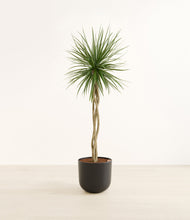 Load image into Gallery viewer, Stone Black*****Profile