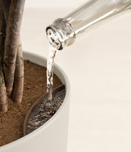 Load image into Gallery viewer, Natural Bamboo stand:all