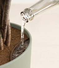 Load image into Gallery viewer, Sage Green