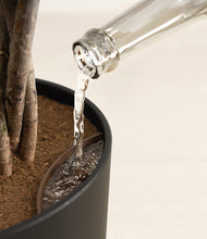 Load image into Gallery viewer, Stone Black stand:all