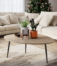 Load image into Gallery viewer, Candy Cane stand:one_stand