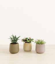 Load image into Gallery viewer, Woodland*****Profile