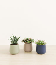 Load image into Gallery viewer, Earthy*****Profile