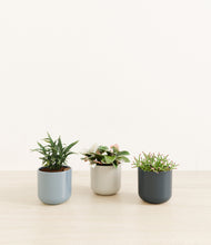 Load image into Gallery viewer, Pebble Shore*****Profile