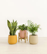 Load image into Gallery viewer, Evening Sky stand:one_stand