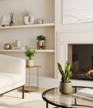 Load image into Gallery viewer, Woodland stand:one_stand