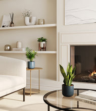 Load image into Gallery viewer, Pebble Shore stand:one_stand