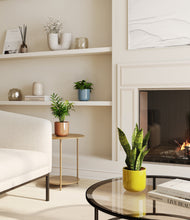 Load image into Gallery viewer, Pixie Petals