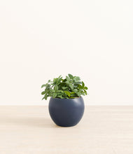 Load image into Gallery viewer, Deep Navy*****Profile