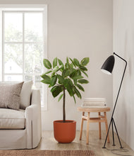 Load image into Gallery viewer, Earth Red