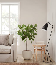 Load image into Gallery viewer, Natural Bamboo