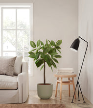 Load image into Gallery viewer, Sage Green