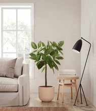 Load image into Gallery viewer, Sandy Pink