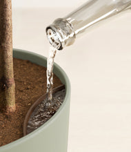 Load image into Gallery viewer, Sage Green