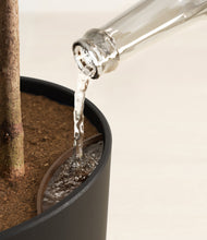 Load image into Gallery viewer, Stone Black