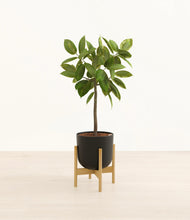 Load image into Gallery viewer, Stone Black stand:bamboo