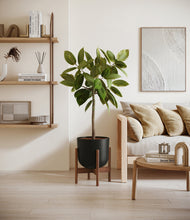 Load image into Gallery viewer, Stone Black stand:walnut