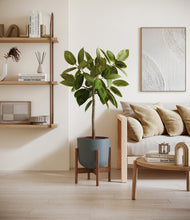 Load image into Gallery viewer, Iron Gray stand:walnut