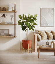 Load image into Gallery viewer, Earth Red stand:bamboo