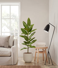 Load image into Gallery viewer, Natural Bamboo