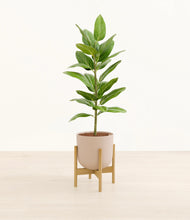 Load image into Gallery viewer, Sandy Pink stand:bamboo
