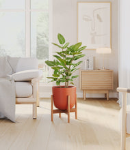 Load image into Gallery viewer, -