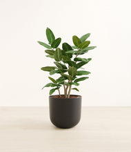 Load image into Gallery viewer, Stone Black*****Profile