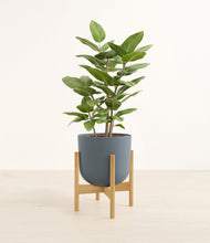 Load image into Gallery viewer, -