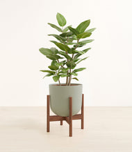 Load image into Gallery viewer, -