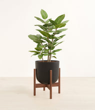 Load image into Gallery viewer, -