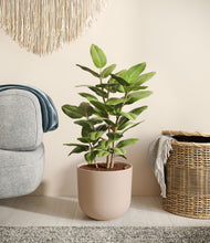 Load image into Gallery viewer, -