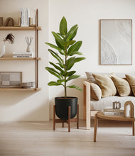 Load image into Gallery viewer, Stone Black stand:walnut