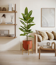 Load image into Gallery viewer, Earth Red stand:bamboo