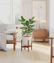 Load image into Gallery viewer, Natural Bamboo stand:walnut