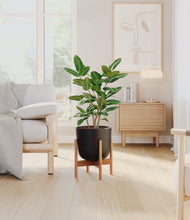 Load image into Gallery viewer, Stone Black stand:bamboo