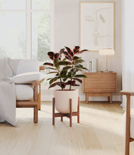 Load image into Gallery viewer, Sandy Pink stand:walnut