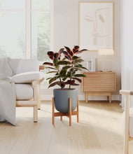 Load image into Gallery viewer, Iron Gray stand:bamboo