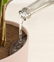 Load image into Gallery viewer, Sandy Pink stand:all