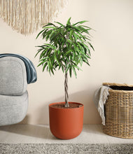 Load image into Gallery viewer, Earth Red