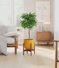 Load image into Gallery viewer, Sunset Orange stand:walnut