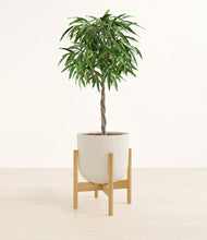 Load image into Gallery viewer, Natural Bamboo stand:bamboo