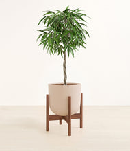 Load image into Gallery viewer, Sandy Pink stand:walnut