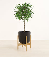 Load image into Gallery viewer, Stone Black stand:bamboo