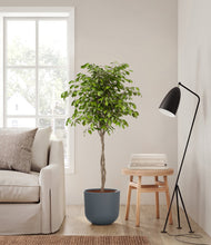 Load image into Gallery viewer, Iron Gray