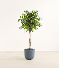 Load image into Gallery viewer, Iron Gray