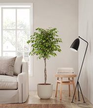 Load image into Gallery viewer, Natural Bamboo