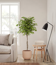 Load image into Gallery viewer, Sandy Pink