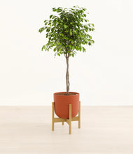 Load image into Gallery viewer, Earth Red stand:bamboo