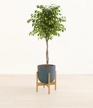 Load image into Gallery viewer, Iron Gray stand:bamboo